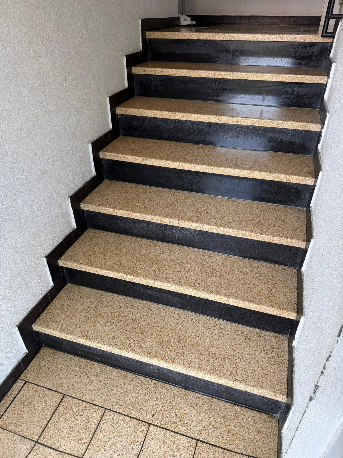 Frisch gereinigte Treppe mit Terrazzo-Stufen